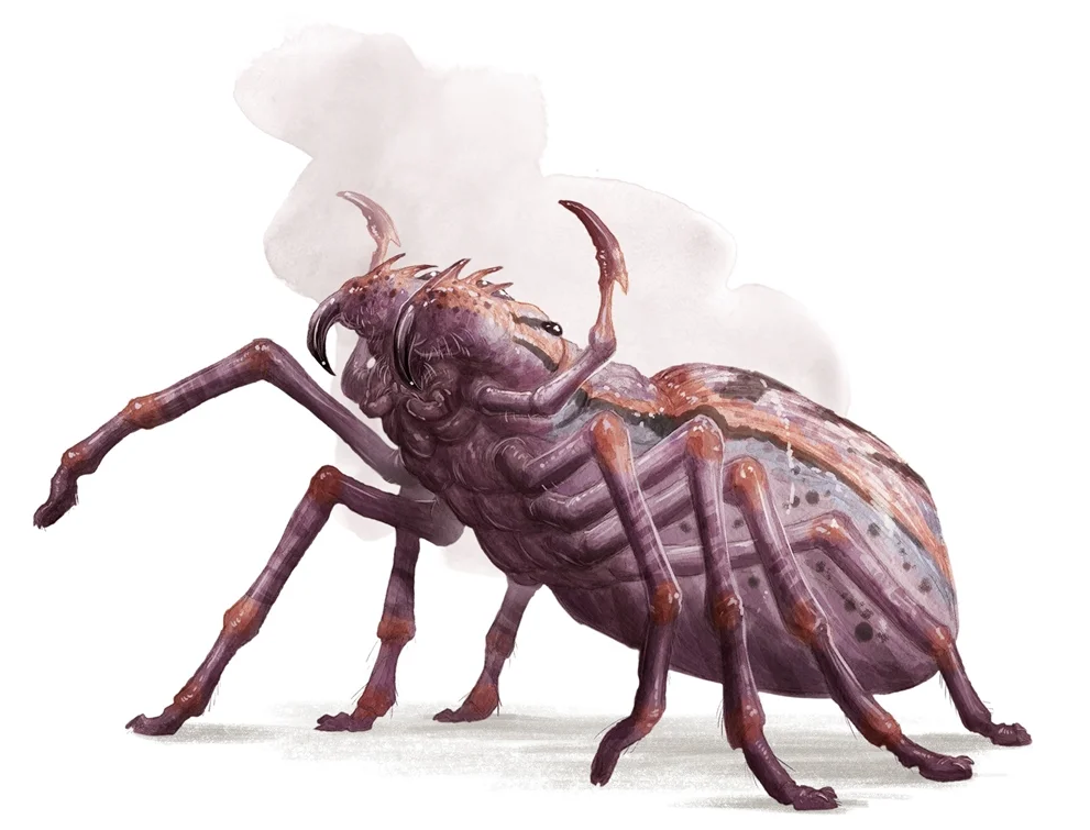 Picture of a Giant Spider